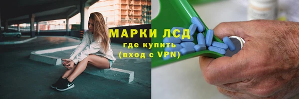 ГАЛЛЮЦИНОГЕННЫЕ ГРИБЫ Алзамай