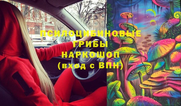 молекула духа Арсеньев