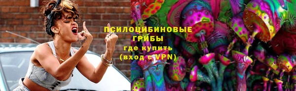 герыч Алексин